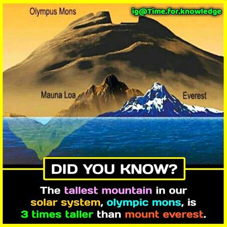 Did you Know