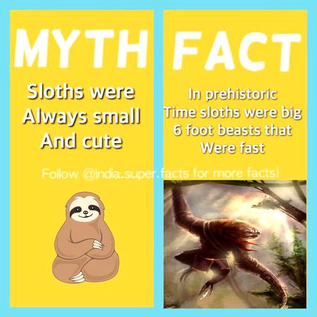 Did you Know