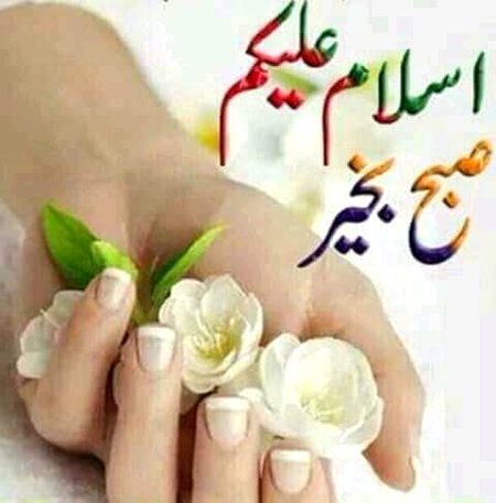 Aslam u alikum