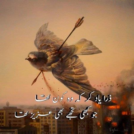 💔Syed Zada🔥