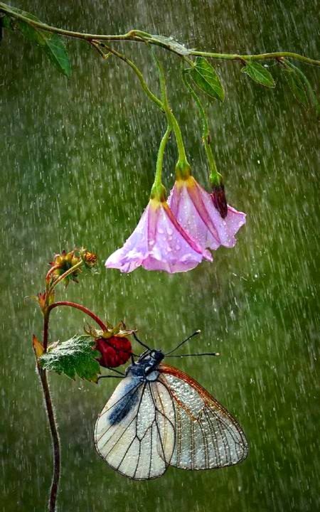 Photography 😍