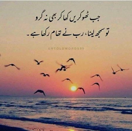 Exactly💯💯