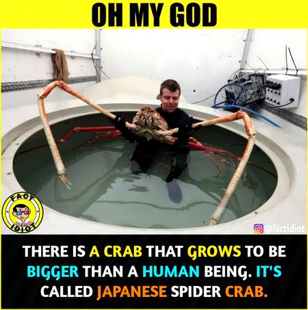 Did you Know
