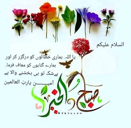 Assalam o Alaikum subha khair💕
