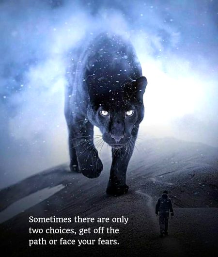 g00d evening Damadam friends