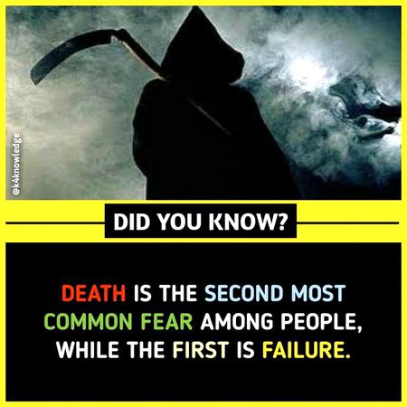 Did you Know
