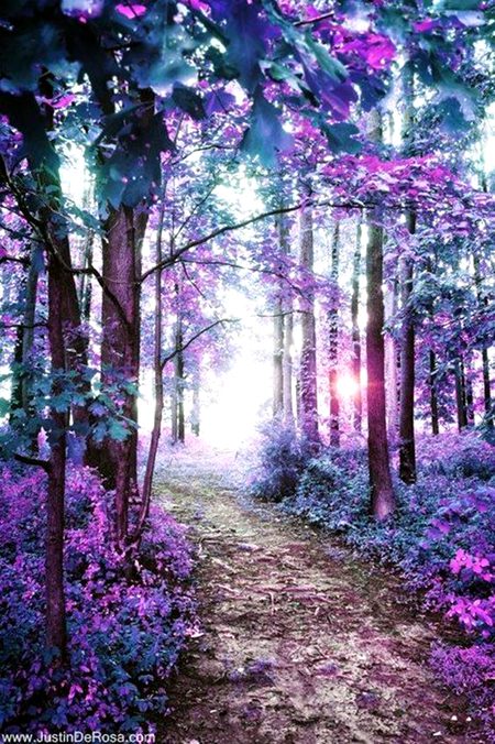 Amazing Place