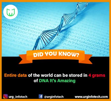 Did you Know