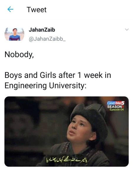 Memes & Satire image