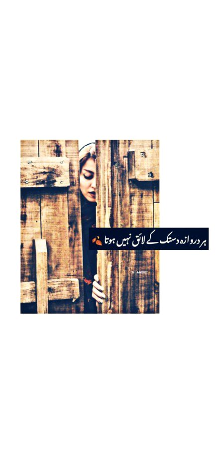 Bilkul 🥀 💫