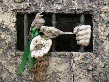 آج قدرت کے کھیل کا عجب نظارہ دیکھا
آزاد پنچھی اور قید میں زمانہ دیکھا