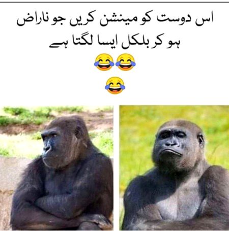 Miss Ch assi lgti ha 😜😜😜