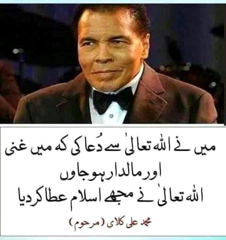 Aik like to bnta hy wesy😇😇