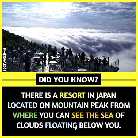 Did  you Know