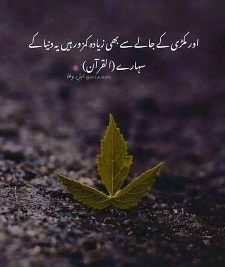Islamic Quotes image