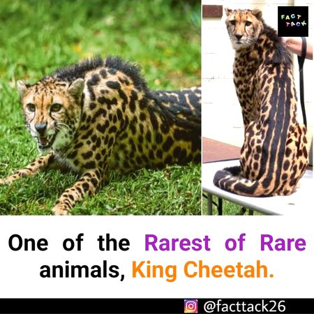 Did you Know
