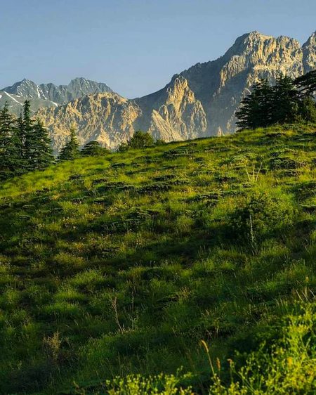 Beautiful Nature image