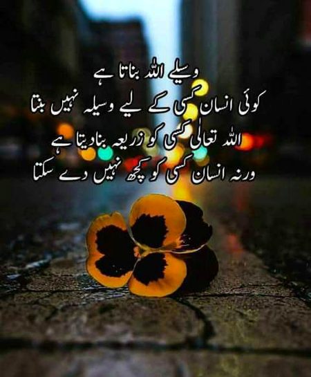 💐💐💐🌸🌸🌸🌷🌷🌷🍀🍀🍀🌹🌹🌹