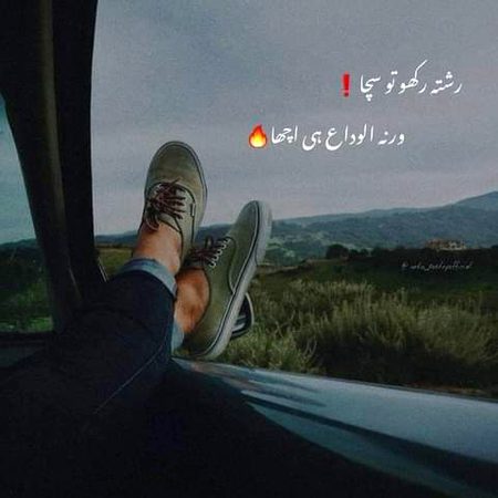 •||•^°°°^°•||•