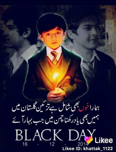 Memes & Satire image