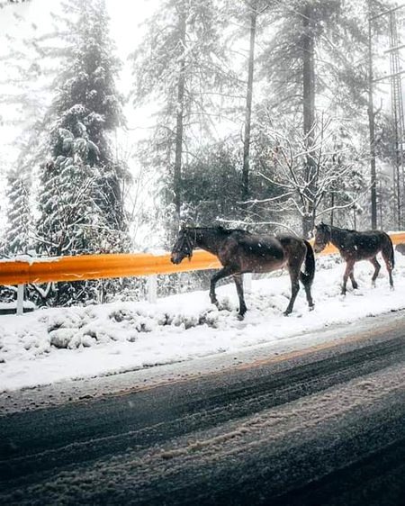 Beautiful pakistan😍