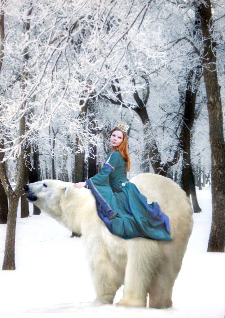 Amazed to see..Photography