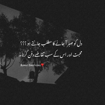 🖤Syed Zada🔥