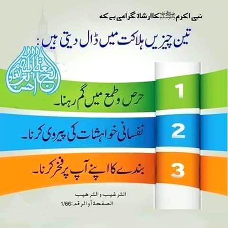AnaS SinDhi