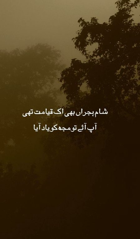 شام ہجر بھی ایک قیامت تھی آپ آئے تو مجھ کو یاد آیا🥀🍂🔥