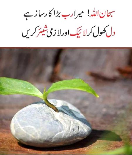 Islamic Quotes image