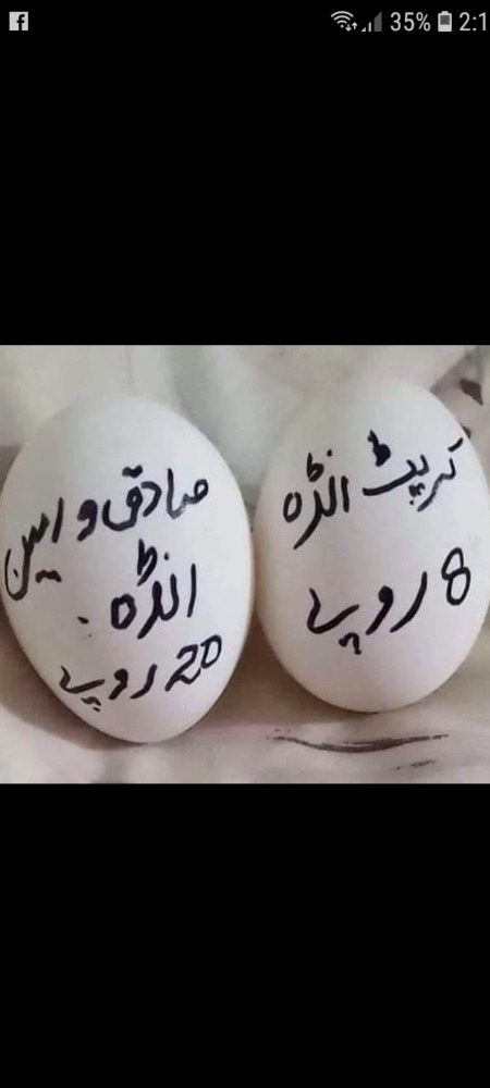 Memes & Satire image