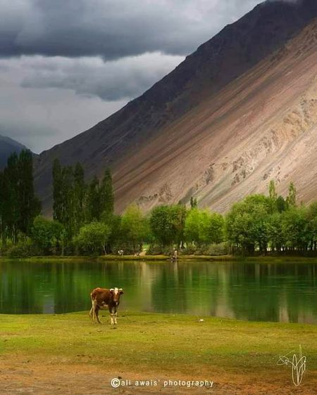 Beautiful Nature image