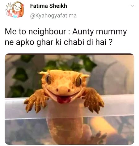 Naihbour...
