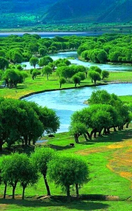 Beautiful Nature image