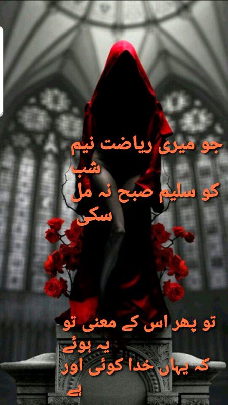 سلیم کوثر ۔