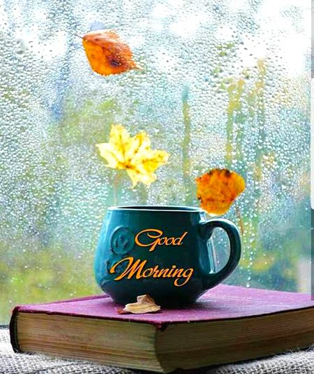 Have a nice day 💞 💞