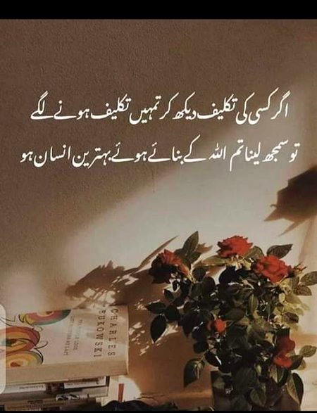 Islamic Quotes image