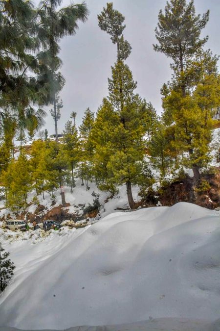 Beautiful Nature image