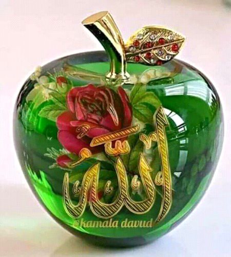 Wo.Jo.RaB Hy wahi SUb Hy❤❤❤❤🌹🌹Morning 🌹🌹🌹