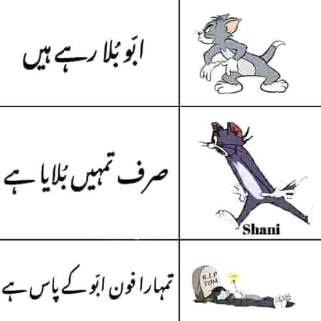 Ops laughed..Rest in peace Tom ..aesa tu hona hi tha kiu ke baba ke pass phone jo chala gya tha .Heart attack keh sakte hain isko indirectly laughed too