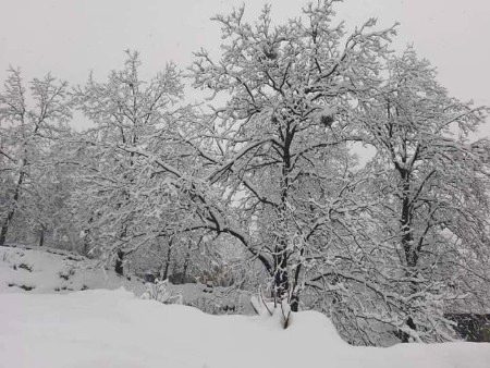 Snowfalling 🙂🌨️🌨️