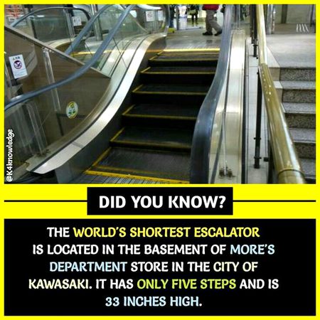 Did you Know