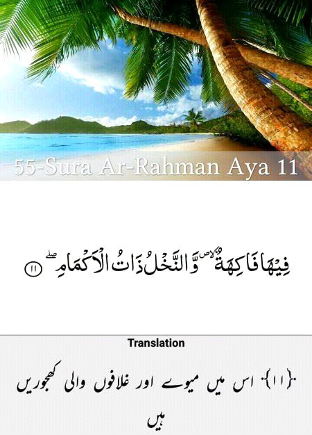 Ayat 11.....😘😍😘😍😘😍😘😍😘😍😘😍😘😍😘😍😘😍😘