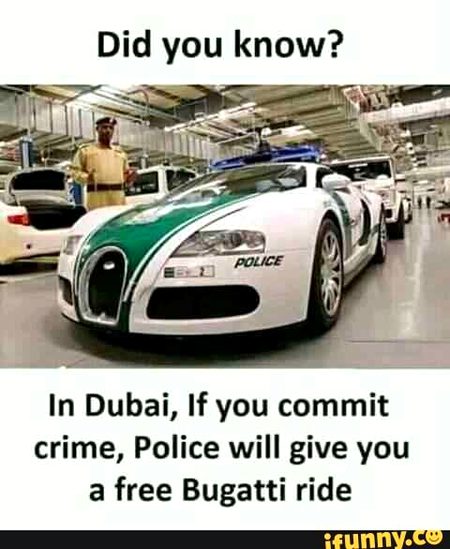 Did you Know