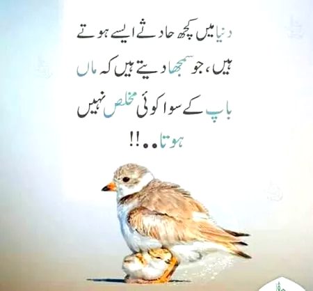 Right ....