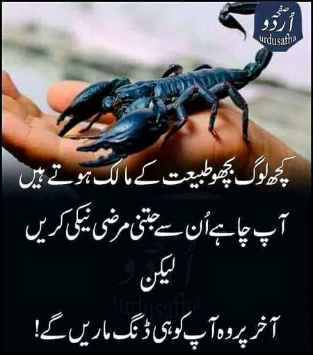 Right😏😏😏😏😏