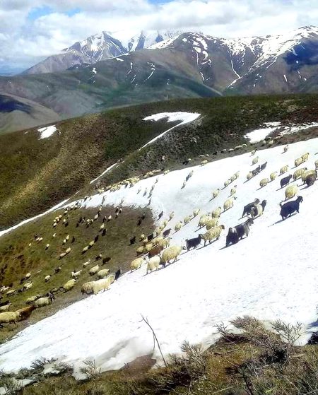 Beautiful Nature image