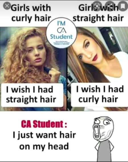 Memes & Satire image