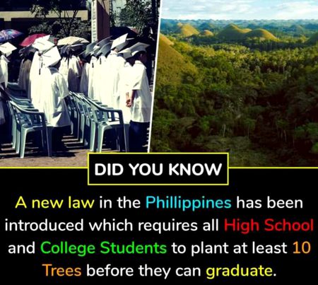 Did u know