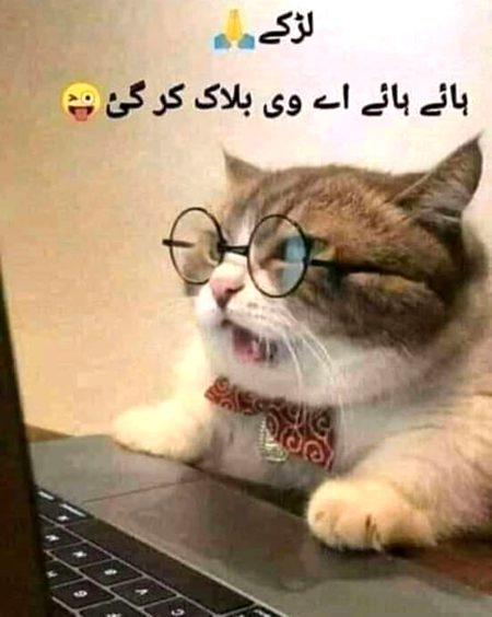 To Larko itna mat dekha kro na apna mobile ap  jo bd me ye bolna pary
